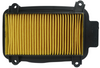 AIR FIL PLSURE/ MSTR EDGE/ DUET