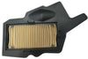 AIR FIL RADEON