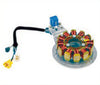 Coil Plate Assy Auto2 LPG CNG