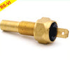 Temp Sensor For Pigio Appe HEX16 M10X1