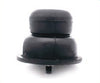 Isolator Maxma Optma