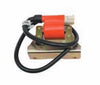 HT Ignition Coil For Auto2 New LPG CNG P