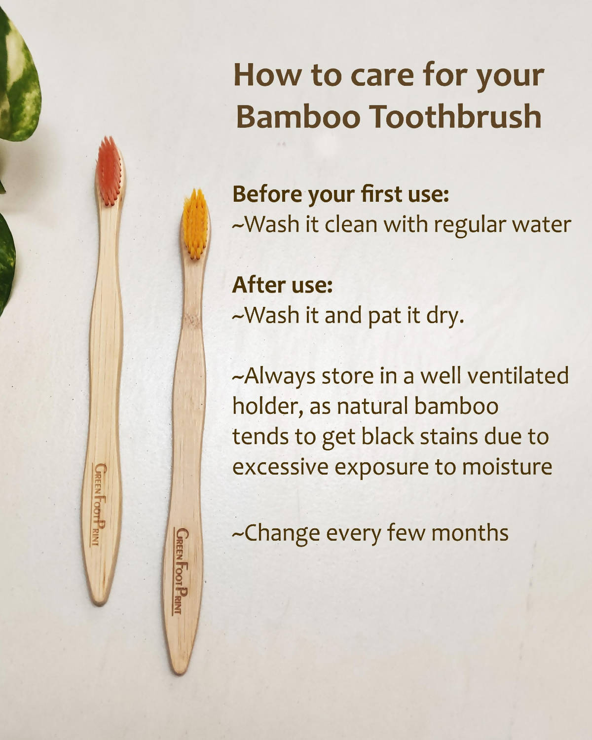 Natural Bamboo Toothbrush - Pack of 2 (assorted colours)