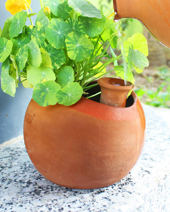 Glo XL Terracotta Planter with Deep Root Watering System