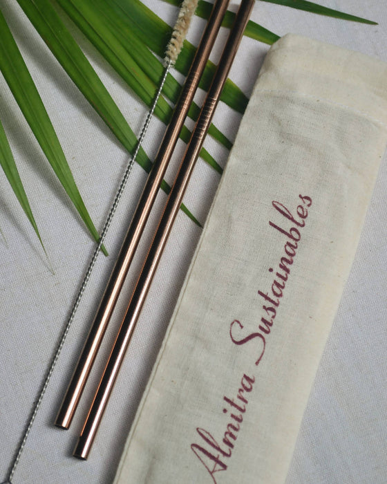 Reusable Copper Straw (Straight) Pack of 2 with Cleaner