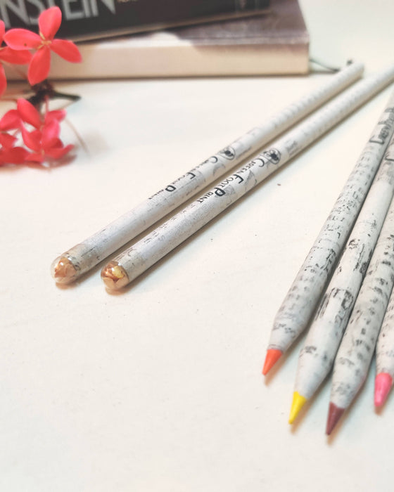Recycled Newspaper Colour pencils and Plantable Seed pencils - Combo