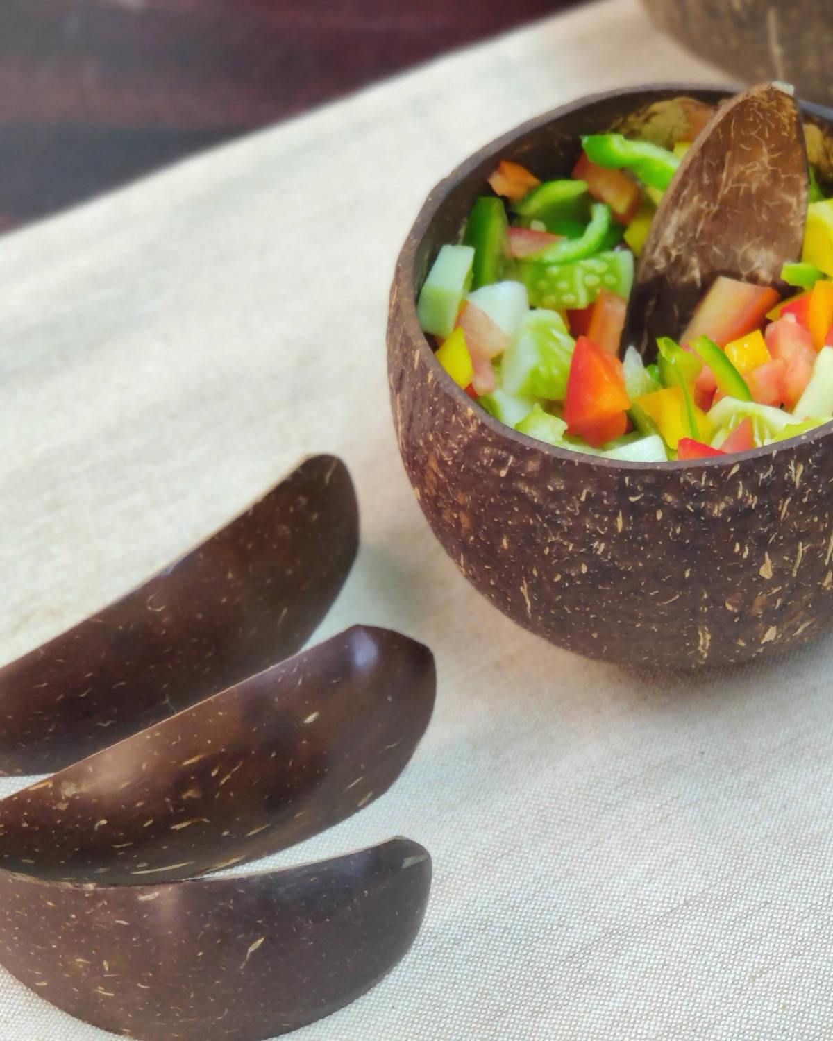 Coconut Shell Bowls - Set of 2