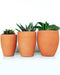 cone terracotta planter | terracotta planter set