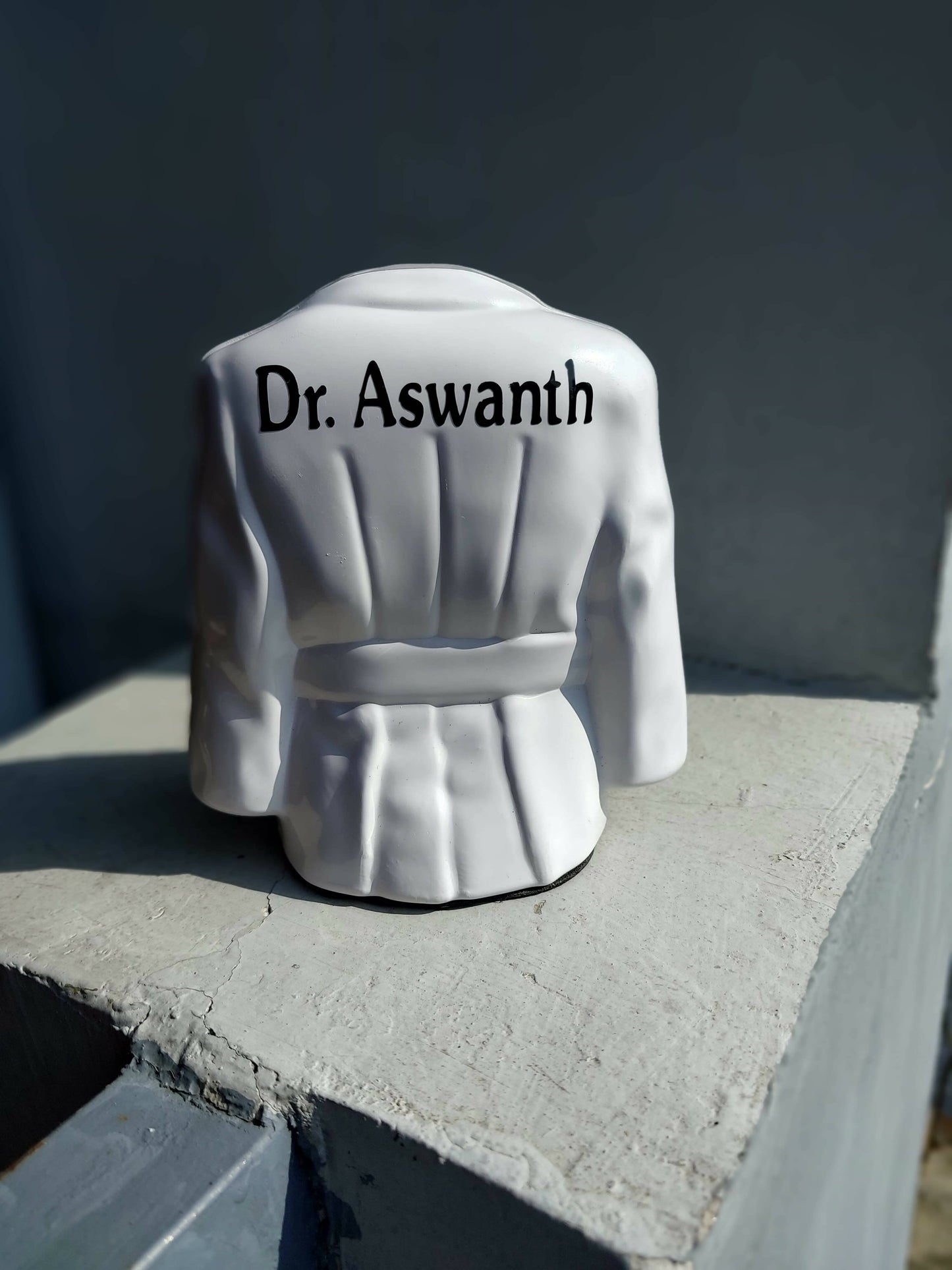 Doctor Pen Stand Organizer customised with name